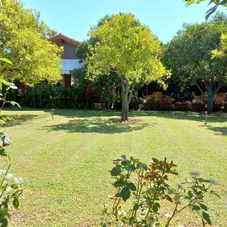 Bahce Villa Çıralı Kültér fotó